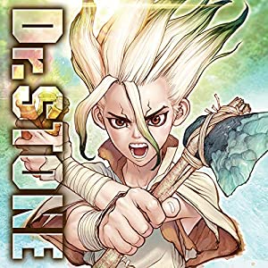 Dr. Stone