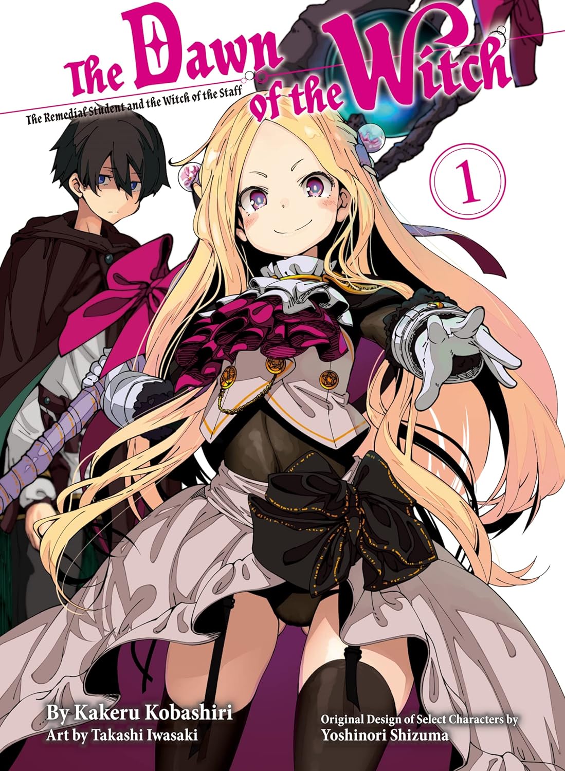 The Dawn of the Witch (Light Novel)